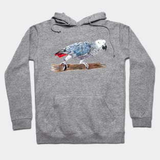 African Grey Parrot 2 Hoodie